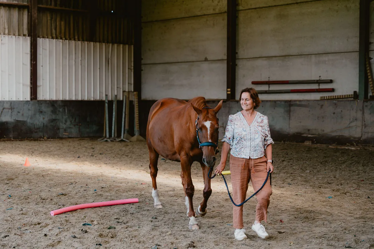 Paardencoaching met paarden als spiegel