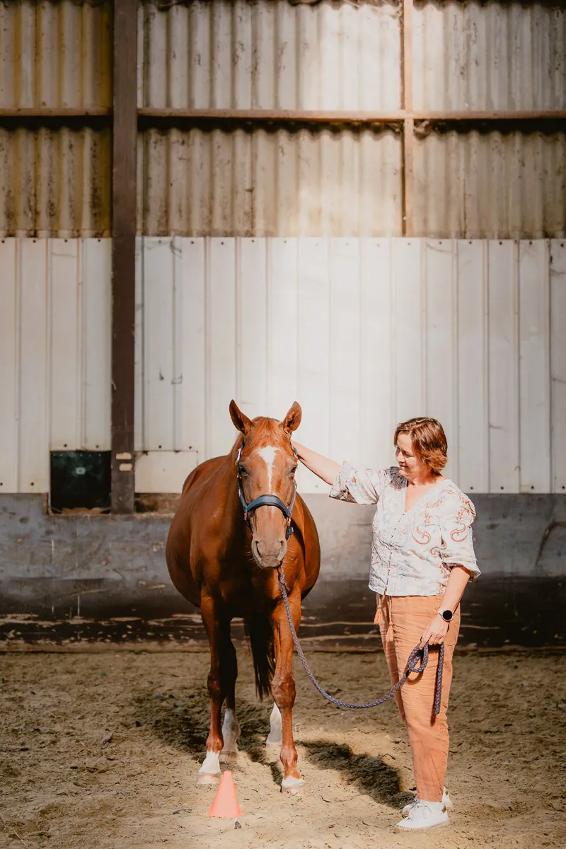 Persoonlijke groei met paarden