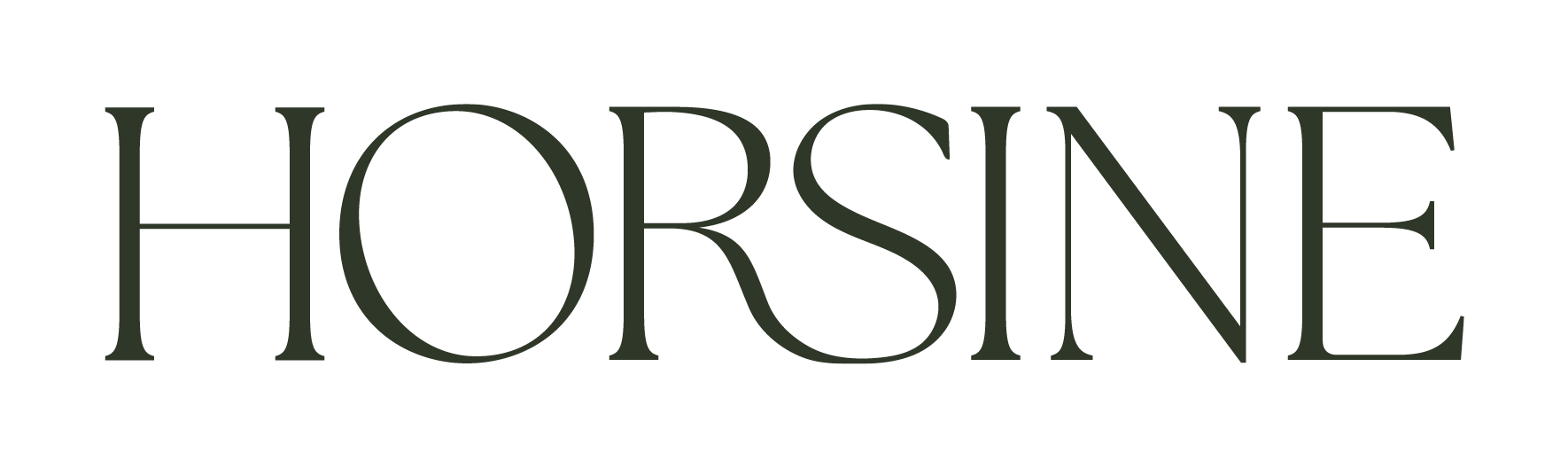 Horse Assisted Coaching